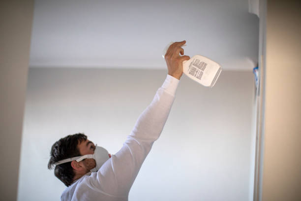 Best Bathroom Mold Remediation in La Fayette, AL