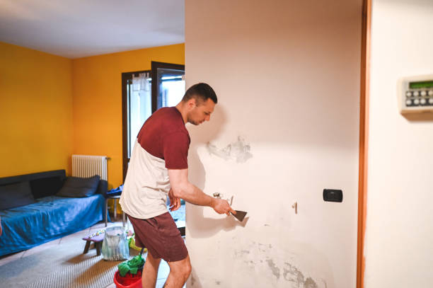 Trusted La Fayette, AL Mold Remediation Experts